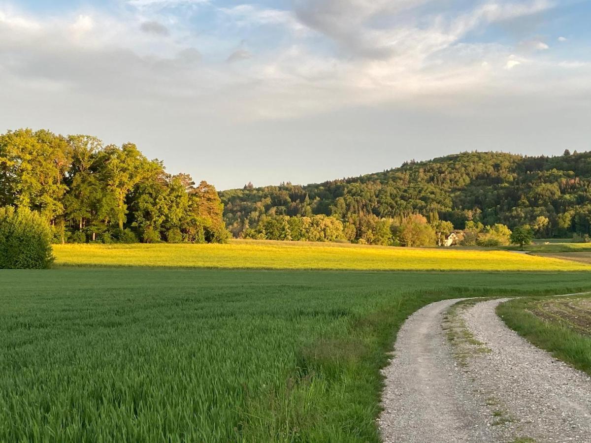 Buesingen Am Hochrhein Radfahren, Wandern, Natur Geniessen Apartment Exterior photo